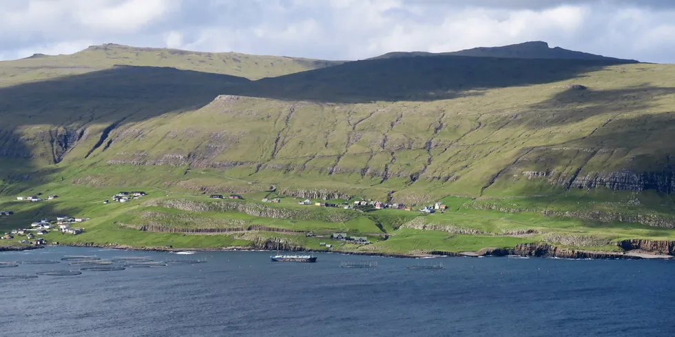 Lakseoppdrett på Færøyene har de seneste årene vært svært lønnsomt.