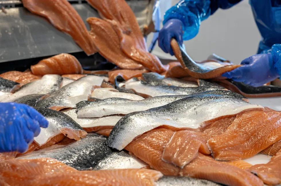 Ifølge Fiskeridirektoratets foreløpige tall var gjennomsnittsprisen for solgt laks og ørret fortsatt høy i fjor.