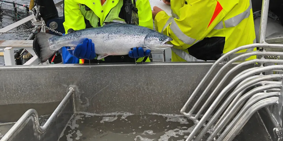 Avlusing med lunket vann er fortsatt lov.