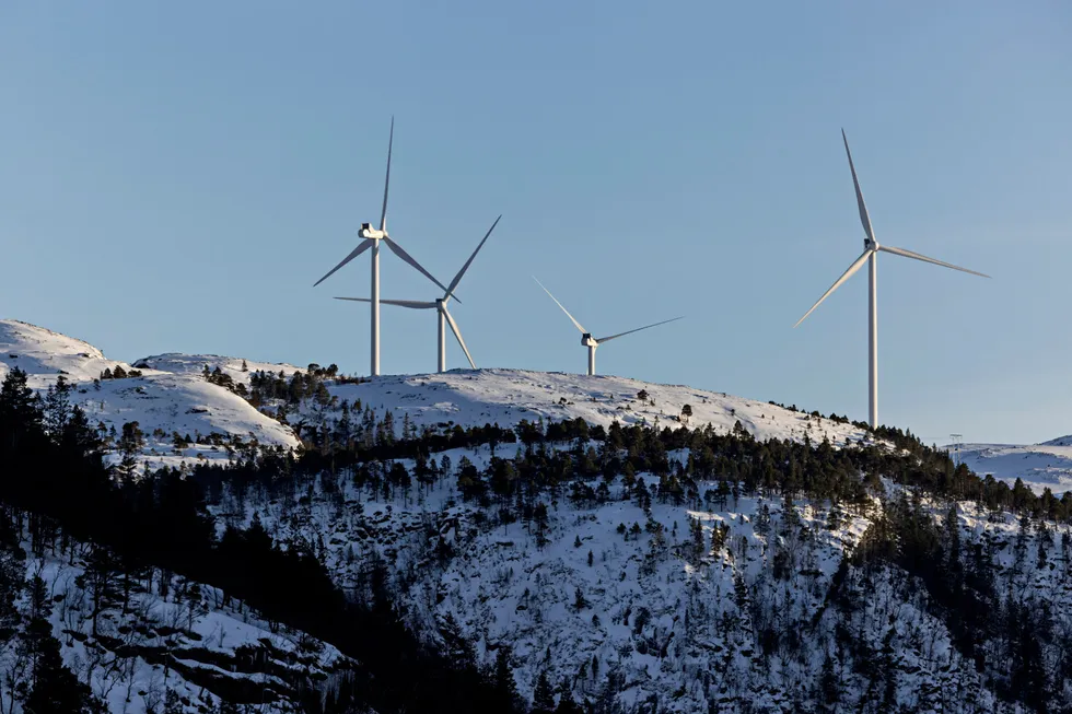 Staten bør etablere en «norsk champion» innen vind- og solenergi, Norway Wind and Solar.