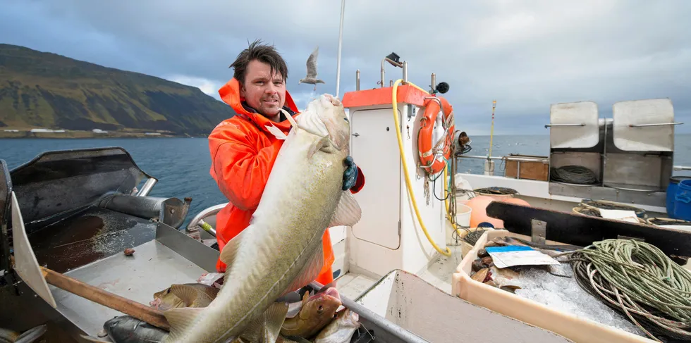 Torskeprisene har de siste månedene gått til himmels, noe som kan utfordre fiskens posisjon i hvitfiskmarkedet. For høy pris er ingen vinnerformel, skriver Fiskeribladet.