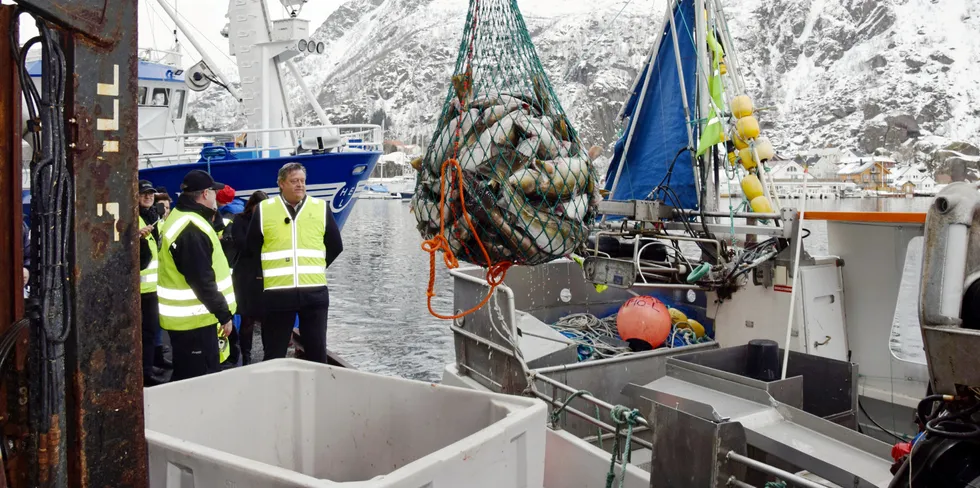 Kontroll på kaikanten i Svolvær. Det er viktig at både Økokrim og Fiskeridirektoratet slår hardt ned på ulovlighetene som foregår i fiskerinæringen, mener Fiskeribladet. Ingen er tjent med lovbrudd, aller mist yrkesutøverne selv.