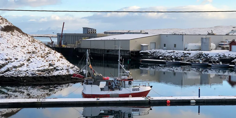 Træna Seafood innstilte driften med øyeblikkelig virkning i september.