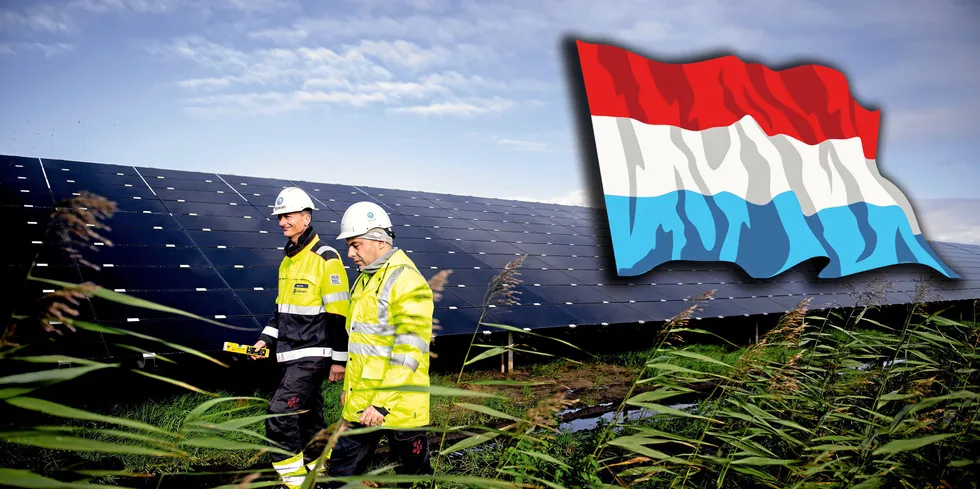 Det er så mye fornybar energi i Nederland søndag, og så lite forbruk, at strømmarkedet svarer ved å bringe prisene under null. Faktisk blir det rekordlav strømpris for Nederland søndag, til å være så tidlig på året. Bildet er fra Statkrafts solanlegg i Nederland.