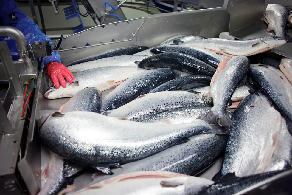 Norsk sjømatnæring vil ha lavere toll på bearbeidet fisk når Norge skal bli enig med Storbritannia om en handelsavtale.