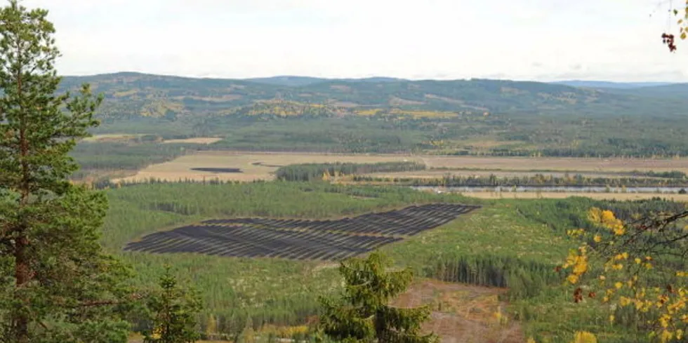 Visualisering av Bronkemoen solkraftverk som er planlagt på vestsiden av Glomma, mellom Braskereidfoss og Heradsbygd i Elverum kommune, Innlandet.