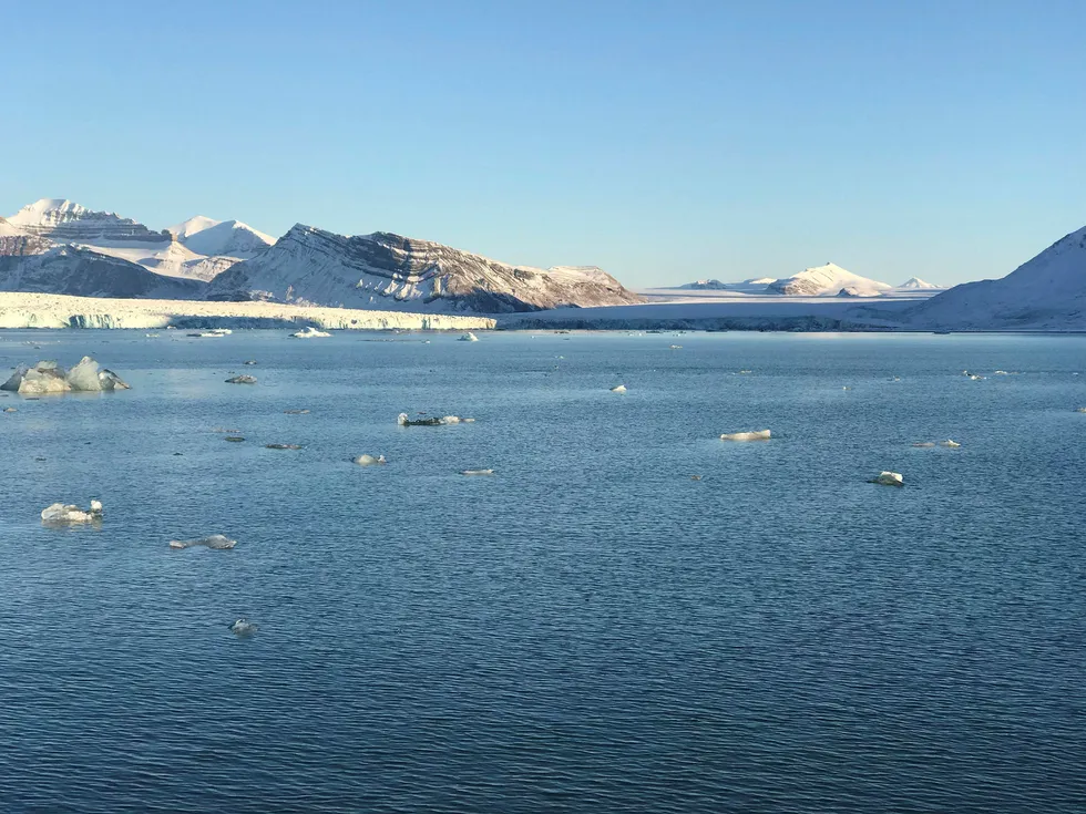 Hele området er en formidabel biologisk smeltedigel for arktiske arter, skriver polarforskerne om iskantsonen. Her Kongsfjorden ved Ny-Ålesund på Svalbard.