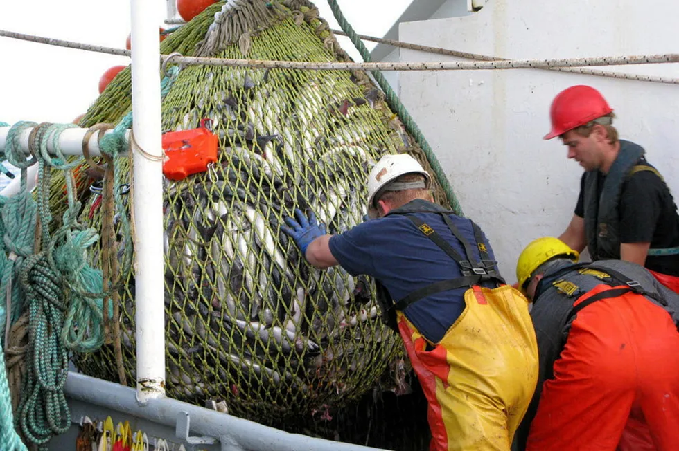 "The stock is well above the precautionary level," said Norway's Ministry of Fisheries.