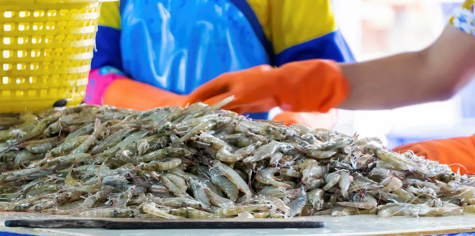 It has been another turbulent year for the global shrimp sector.