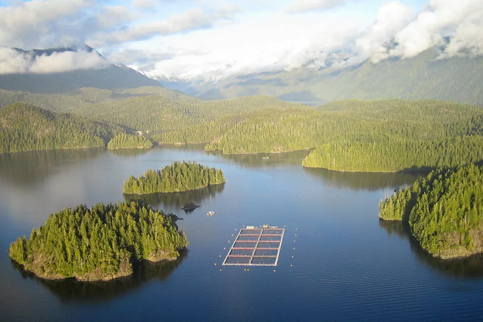 A move to land-based salmon farming won't happen anytime soon, report says.