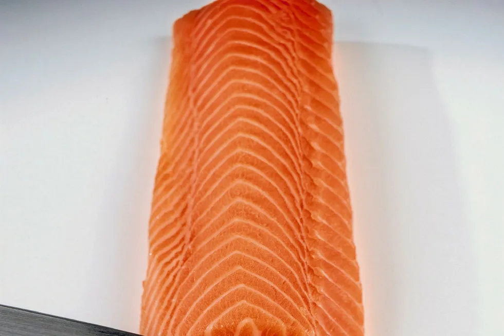 Chile expects all Russian salmon import restrictions lifted; the question is when?