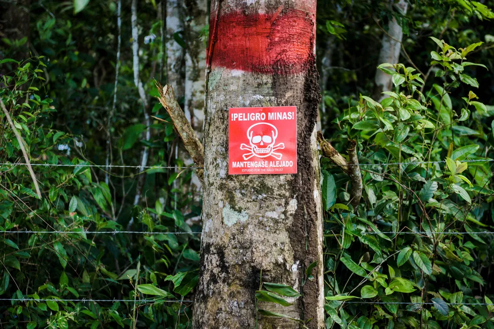 I Colombia stopper lokalsamfunn hugst av regnskog for bare fem dollar per tonn CO2, skriver kronikkforfatterne. Bildet er fra Meta i Colombia.