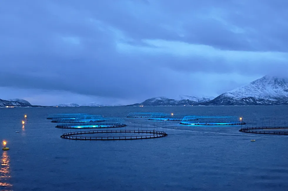 Illustrasjonsfoto: Oppdrettsanlegg i Nordland.