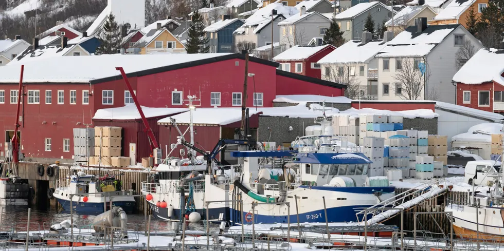 Kaia i Øksfjord. Professorene Ola Flåten og Knut Heen lanserer at tilbakekjøp av kvoter fra trålere i Sør-Norge med omfordeling til kystfiskerier i Troms og Finnmark kan styrke næringslivet i Nord-Norge.