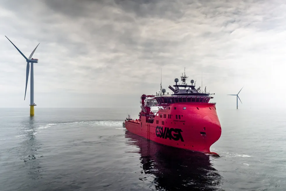 Green energy drive: the Dudgeon offshore wind farm in the UK North Sea