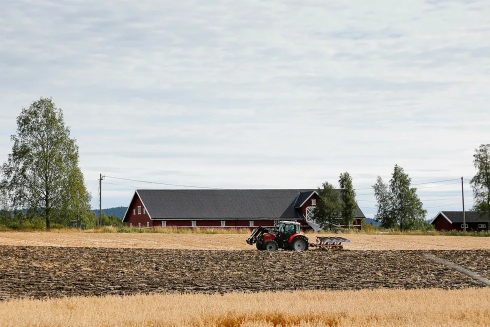 Norsk landbruk skaper tusener av jobber i leverandørindustrien. Foto: Gunnar Lier