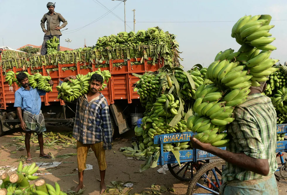 Indiske frukt- og grønnsaksprodusenter blir lurt av mellommenn. Nå forsøker oppstartsselskaper å erstatte dem med apper, kunstig intelligens og analyser av store datamengder.