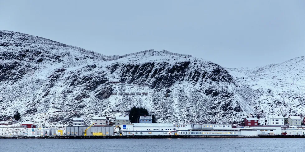 Lerøy skal oppgradere fabrikken i Kjøllefjord.