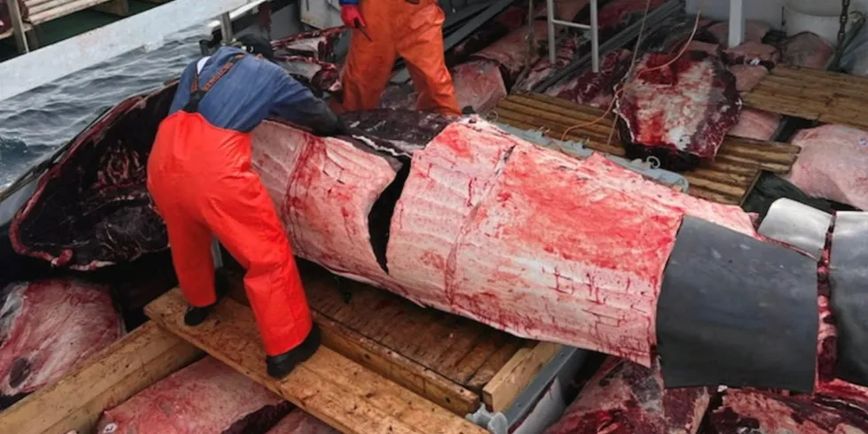 Det trauste svaret fra politikerne er at det ikke finnes markeder for hvalkjøtt, skriver Mariann Frantsen, som gjerne vil utfordre fiskeriminister Cecilie Myrseth.