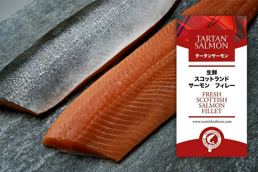 . The Scottish Salmon Company Tartan Salmon.