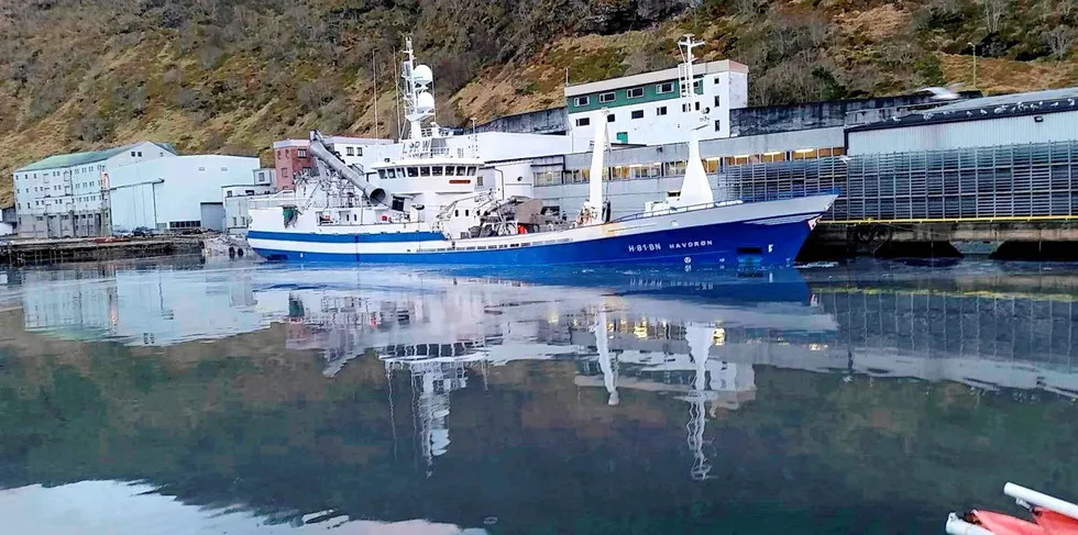 «Havdrøn» skal losse 500 tonn nordsjøsild i Fosnavåg.