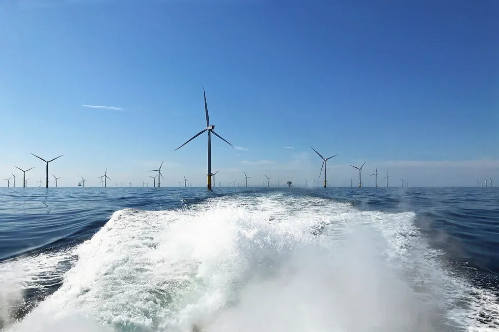 Calling: offshore wind potential