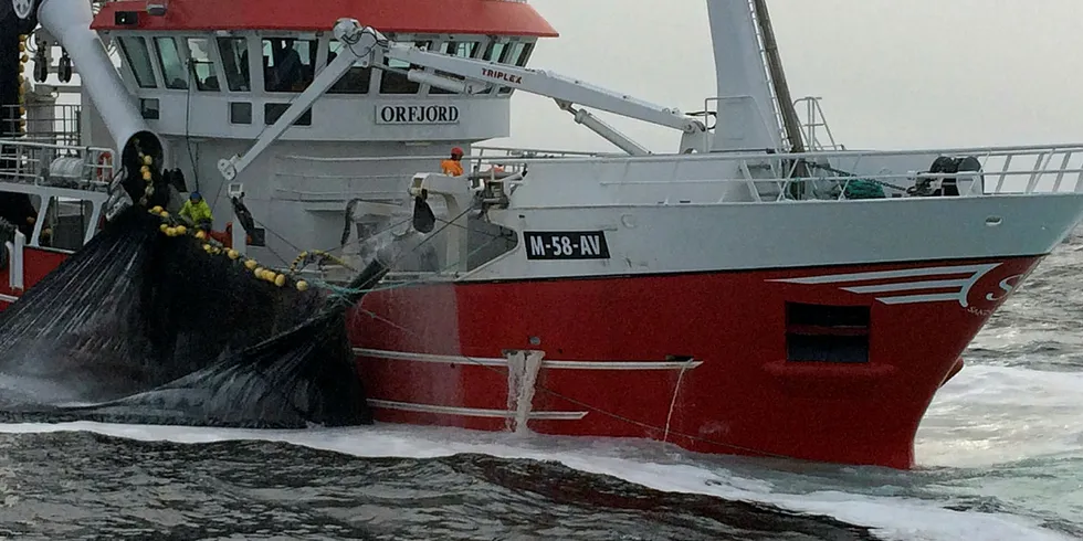 STØRJE: «Orfjord» fra Averøy et av fartøyene som skal delta i makrellstørjefisket med not.