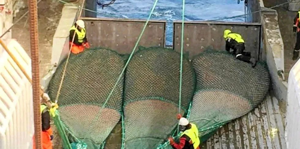 Havfisks tråler «Nordtind» på reketråling i Barentshavet.