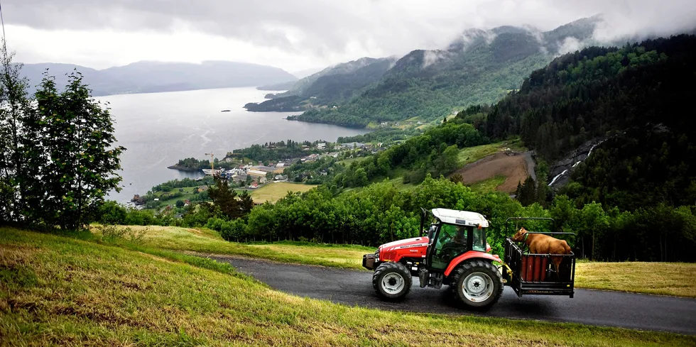 Norsk landbruk ved havet.