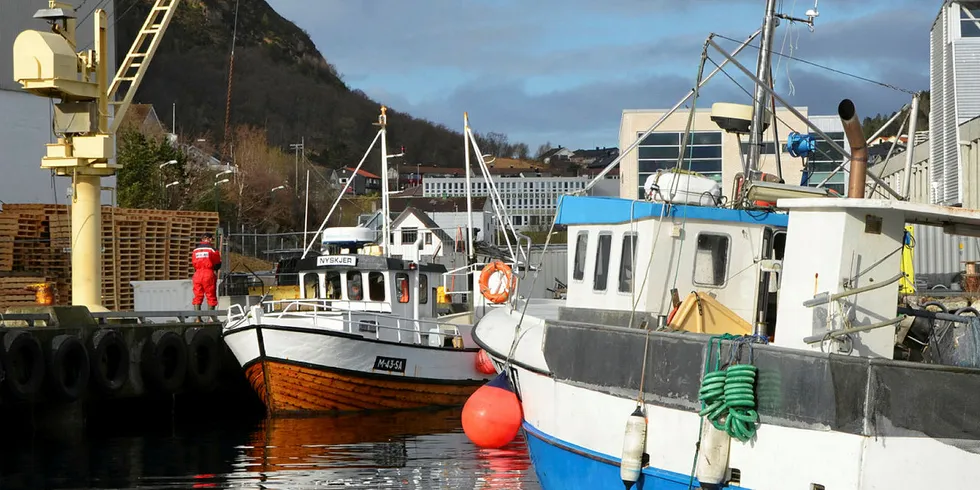 SESONG: Borgundfjordfisket sørger for stor aktivitet ved Marine Sales sitt anlegg i ytre bydel av Ålesund, i ropeavstand til gytefeltet.