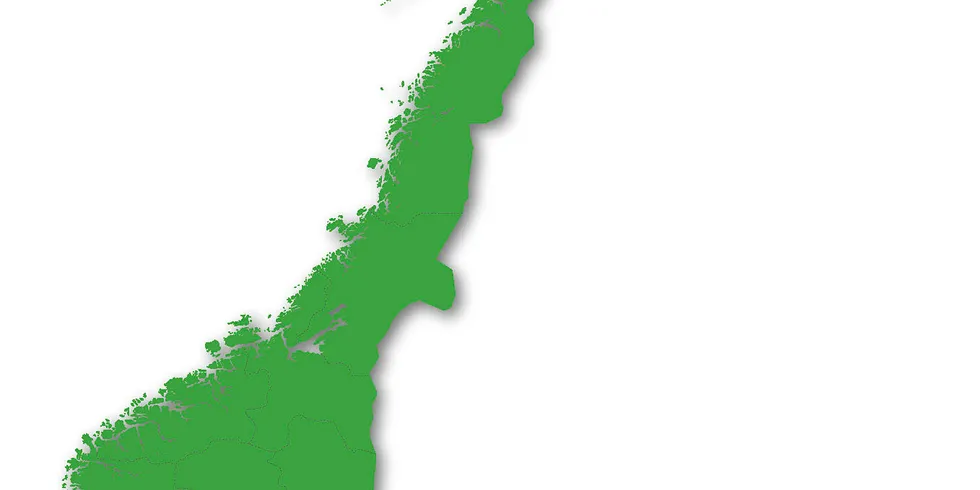AMS-fristen. Norgeskart grafikk grønn.