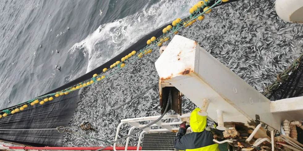 Norge gir fra seg over tre prosent av makrellkvoten avtalt med Storbritannia for å få lov å fiske makrell i Storbritannia.