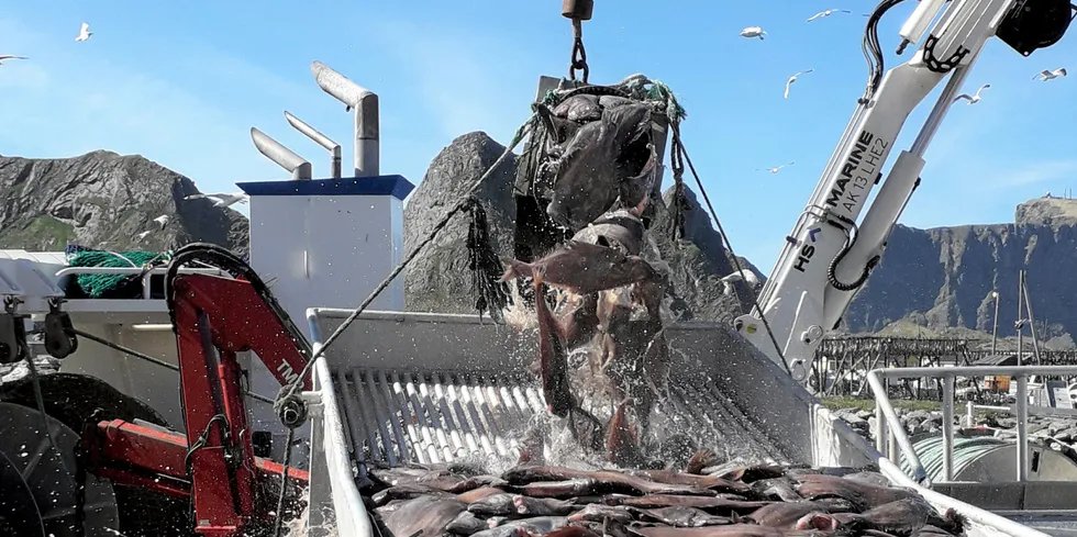 Det gjenstår fortsatt over 400 tonn blåkveite for kystflåten å fiske.