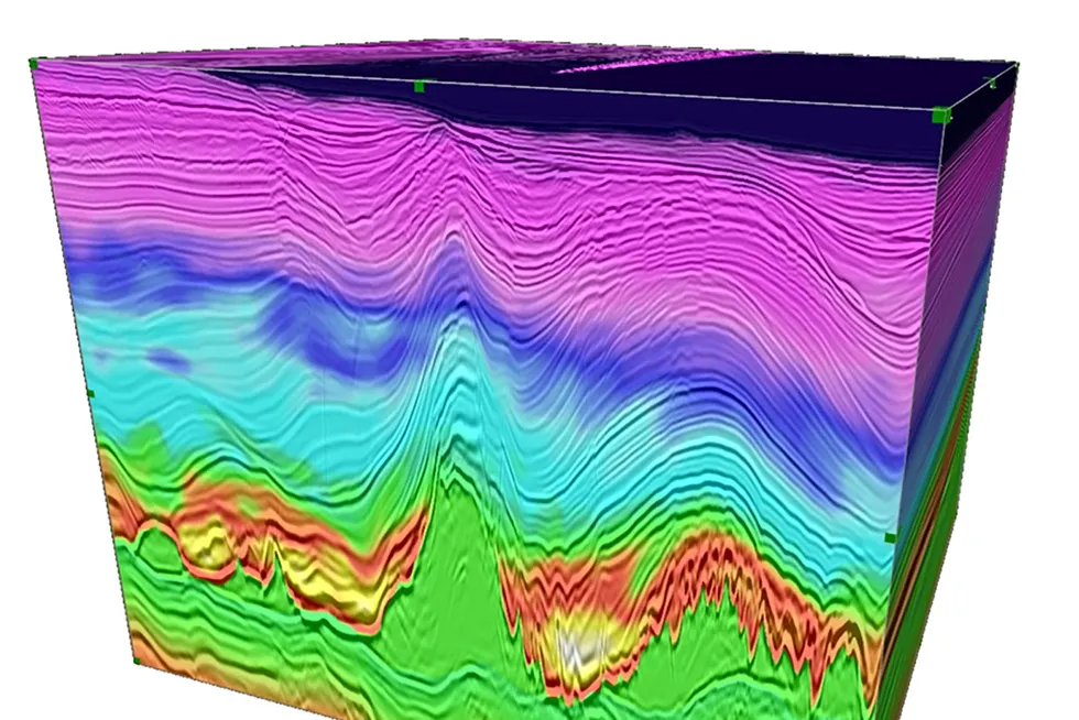 Bankruptcy: assets like this 3D data cube from Ion Geophysical's Picanha programme in the Campos and Santos basins offshore Brazil are on the sale block