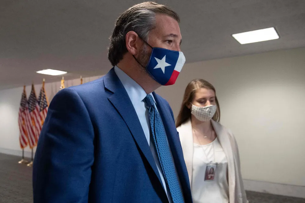 Senator Ted Cruz fra Texas fronter et titalls republikaneres kamp for å omgjøre valgresultatet.