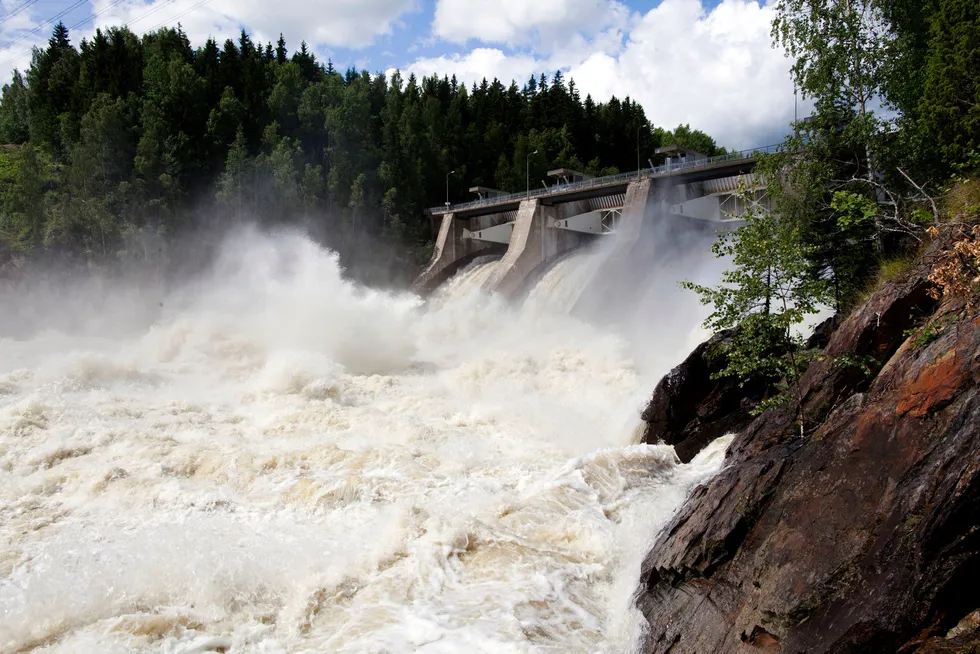 Statkrafts norske virksomhet omfatter over 300 vannkraftverk over hele landet, skriver artikkelforfatteren.