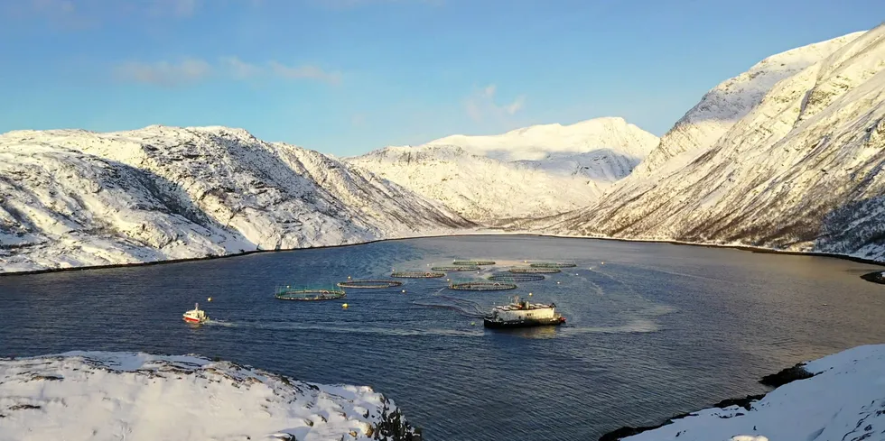 Dette illustrasjonsbildet viser én av Norway Royal Salmons lokaliteter.