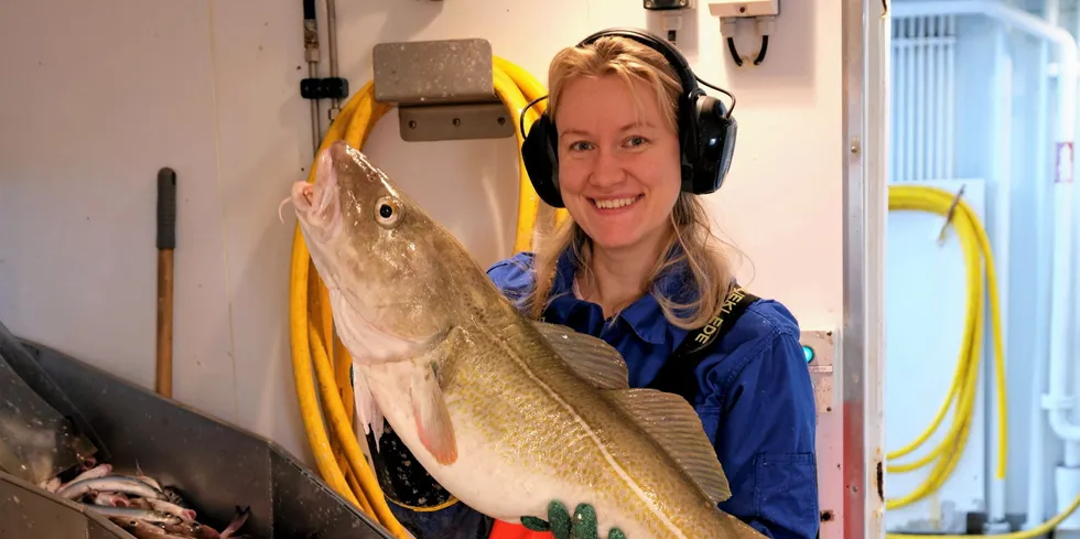 Amalie Valde Berge fra bunnfiskavdelingen viser frem Nordsjøtorsk på 13 kilo.