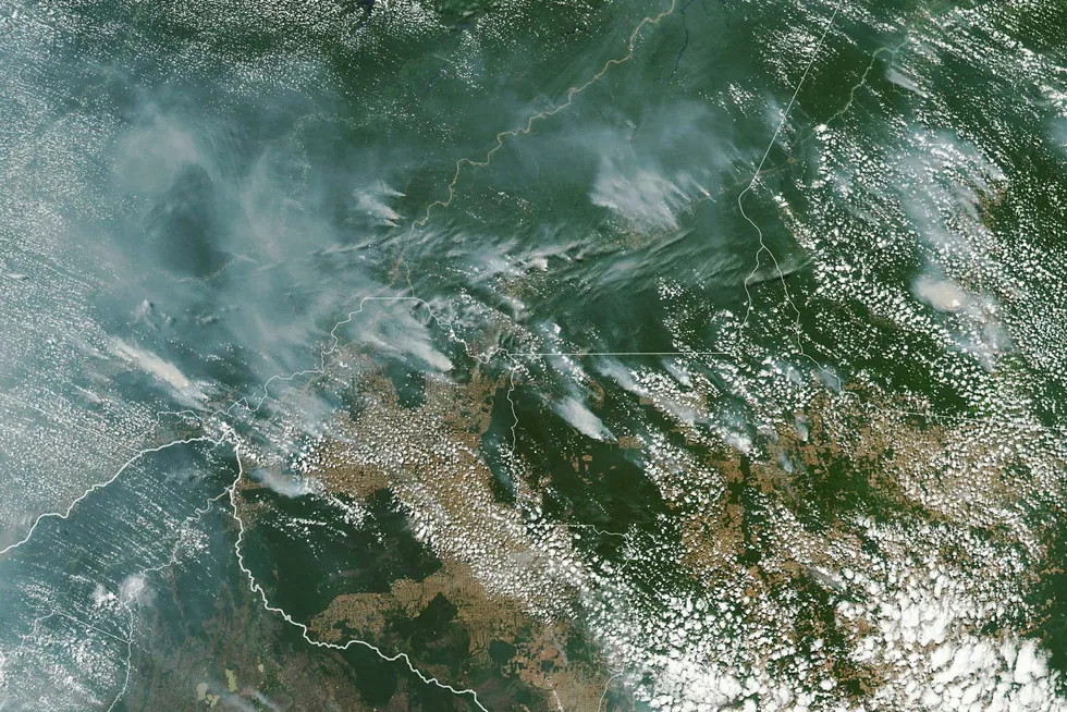 Satellittfoto fra NASA som viser branner i Amazonas i Brasil. Foto: NASA Earth Observatory Handout / EPA / NTB scanpix