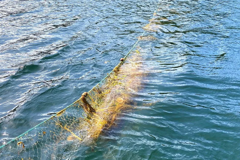 Ulovlig flytegarn ble beslaglagt ved en tidligere aksjon fra Kystvakten i Austevoll.