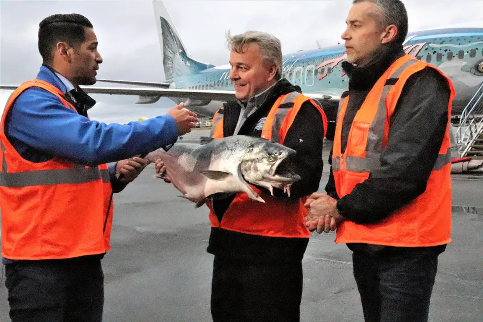 Det er en begivenhet når årets første villaks (Copper River salmon) flys inn fra Alaska til byen Seattle i delstaten Washington i USA. Dette flyet fra Alaska Airlines har med seg drøyt 8 tonn. Bildet er fra mai 2019.