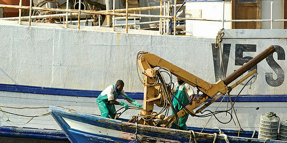 Fishing is one of the main contributors to the Namibian economy, making up 15 percent of the country's exports.