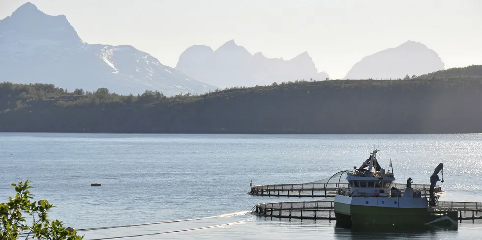 Matproduksjon i sjø: Mowi-lokaliteten Kalvik i Leifjorden i Sørfold kommune i Nordland.