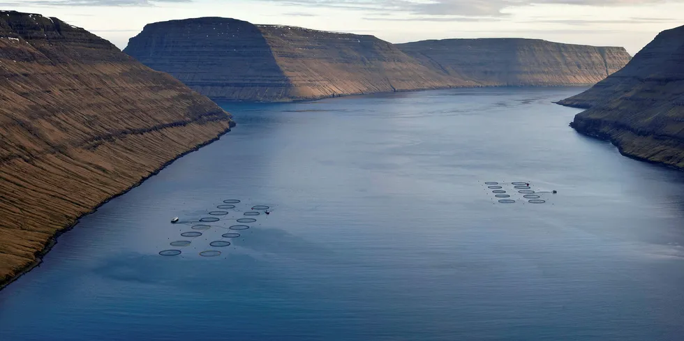 Illustrasjonsfoto: Hvannasund Sør på Færøyene er en av Bakkafrosts lokaliteter.