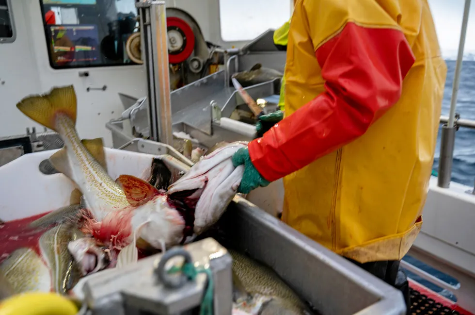 Norge og EU har i en årrekke kranglet om hvor stor kvote sistnevnte skal ha i fiskevernsonen ved Svalbard.