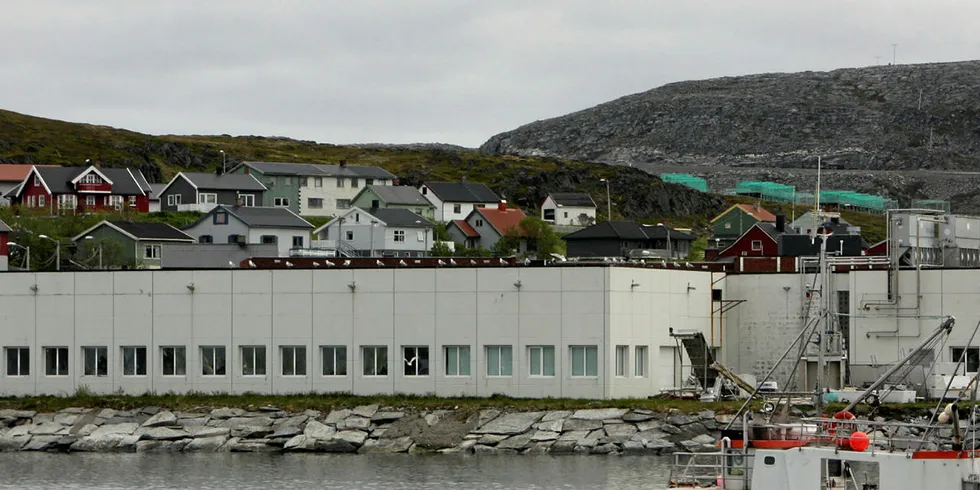 EN GANG AKER: Mellom 140 og 170 millioner har Finnmark Fisk-satsingen til Norwegian Fish Company kostet banker og investorer siden juni 2017. Nå er det klart at nye eiere er på vei inn i selskapet.