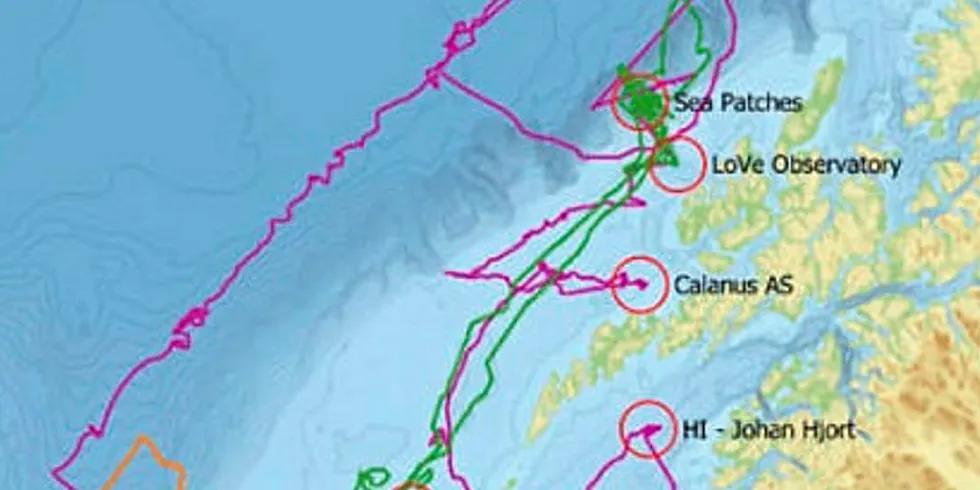 Kartet viser ruten til de tre farkostene sammen med oversikt over ulike planlagte møtepunkt med andre forskningsfartøy og prosjekter. (Rosa=Sailbuoy, oransje=Seaglider, frønn=Waveglider)