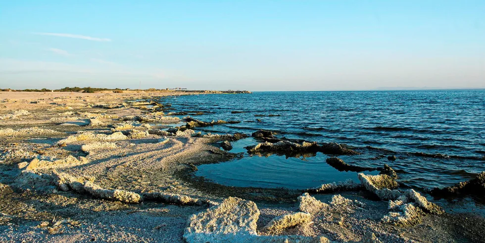 . Salt crusts seen at Salton Sea, California.