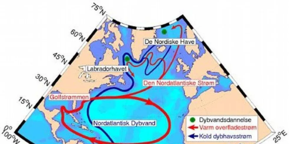 Det dype havvannet ble varmere gjennom de kaldeste periodene av istiden, avslører ny forskning. Ill.foto: Meterologisk institutt