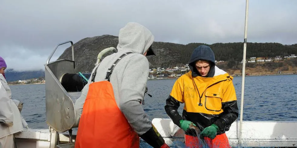 FÅ FLERE INN: Den nye rekrutteringskvoteordning er positiv for næringen, men hvorfor ikke gi flere sjansen til å delta, spør Fiskeribladet.Illustrasjonsfoto: Kjersti Kvile